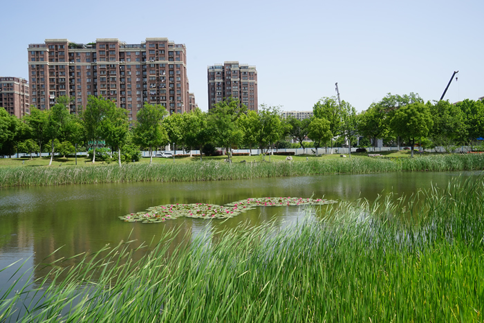鳩江區(qū)黑臭水體治理項(xiàng)目